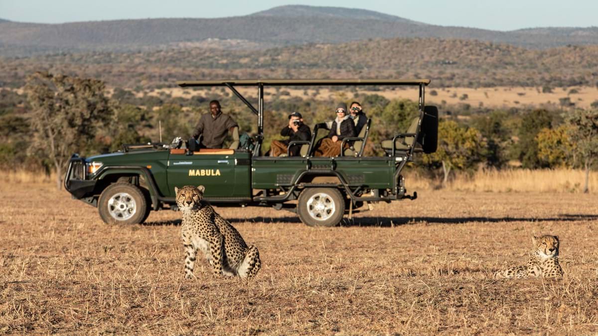 safari in south africa at mabula lodge