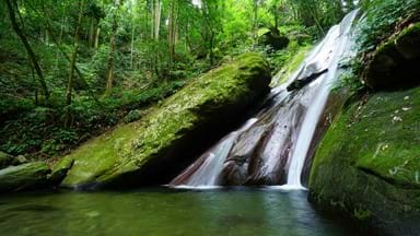 <p><span>Kinabalu Park Poring Hot Springs</span></p>