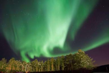 The Northern Lights at a forest near Alta, Norway.