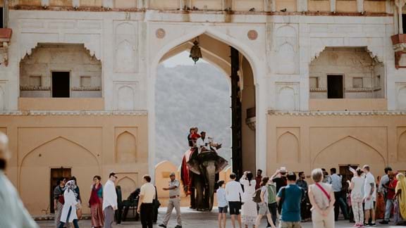 Explore the Amber Fort