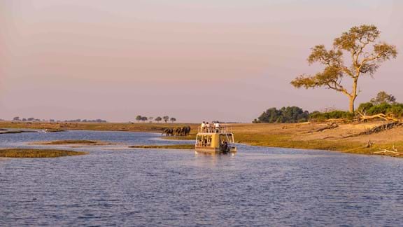 Cruise on the Chobe River