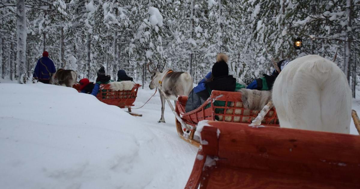 newmarket day trips to lapland