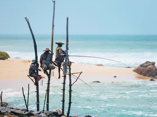 Stilt Fishermen, Sri Lanka