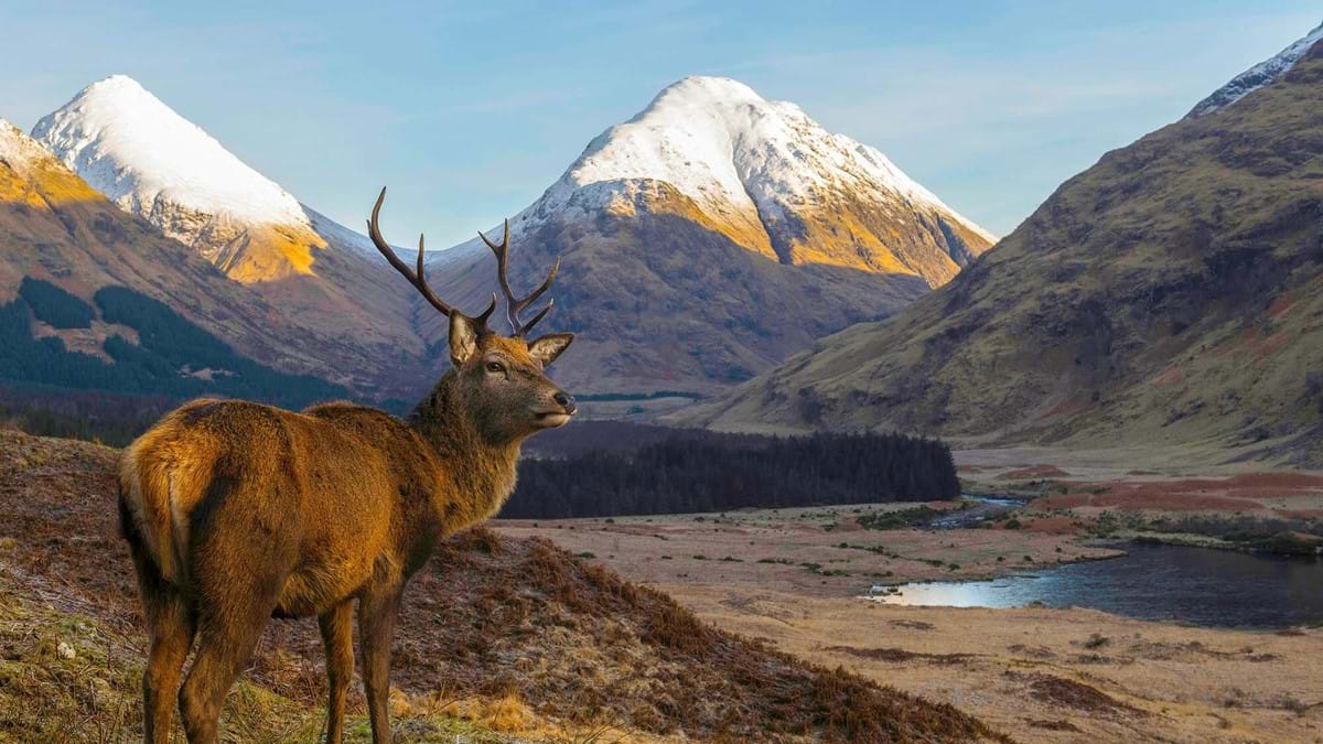 Christmas in the Scottish Highlands 2020/2021| Newmarket Holidays